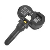 TPMS17